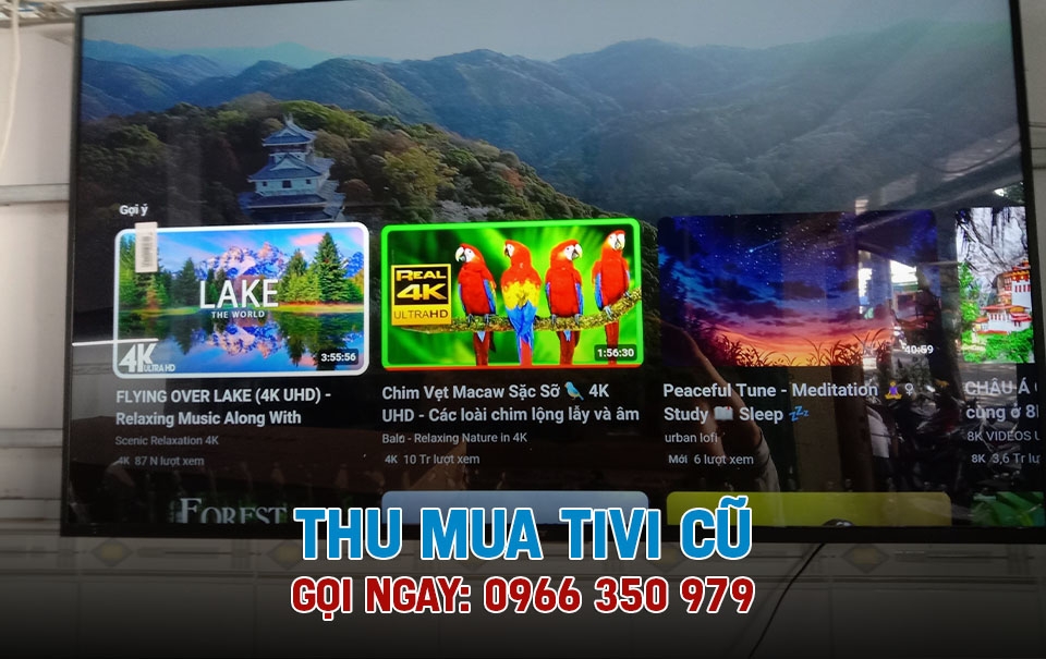 Bán tivi cũ