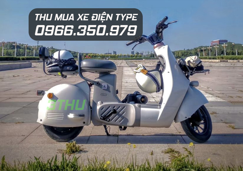Bán xe điện Type 1, 2,3