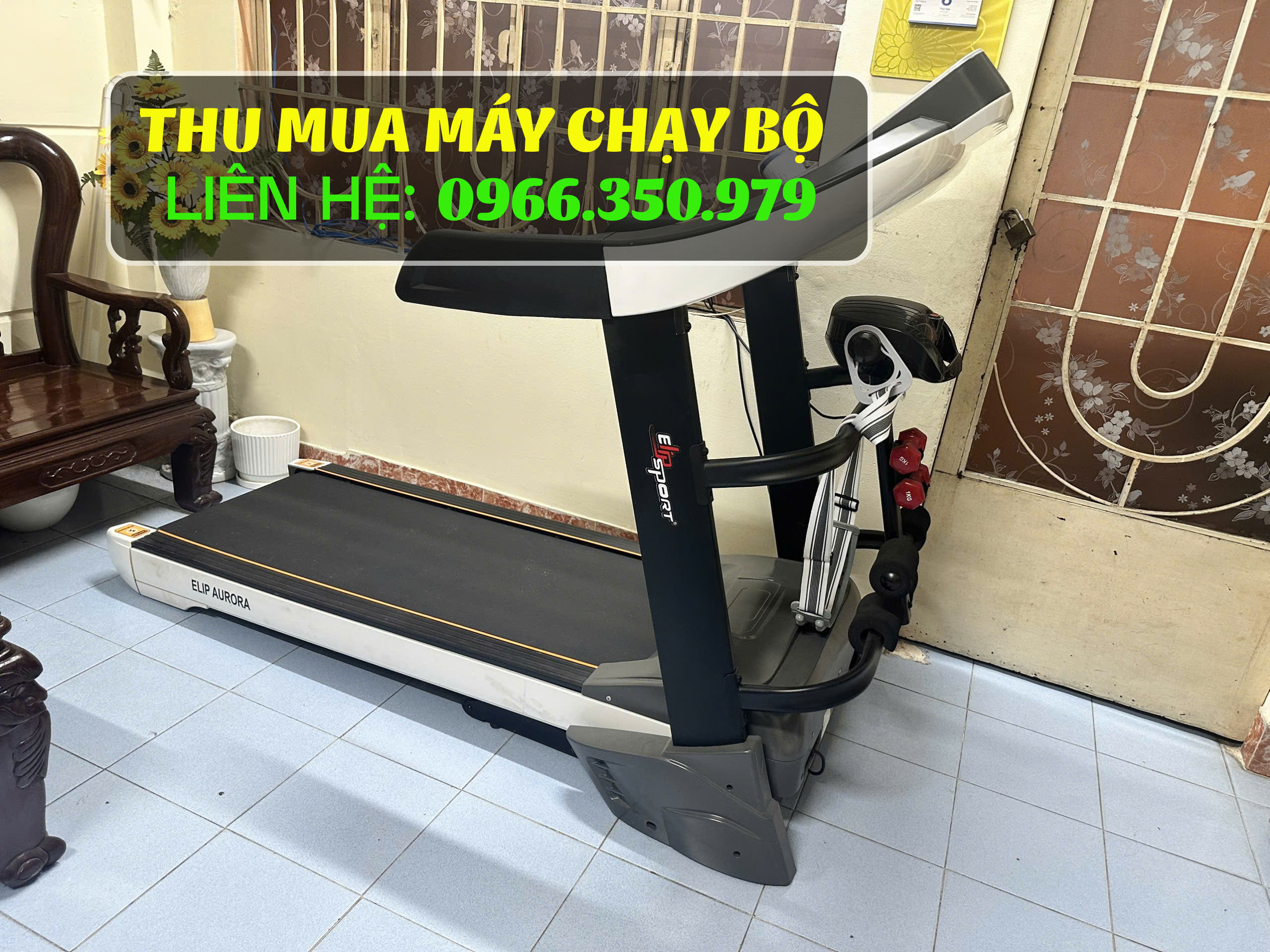 Thu mua m&aacute;y chạy bộ Elip Aurora