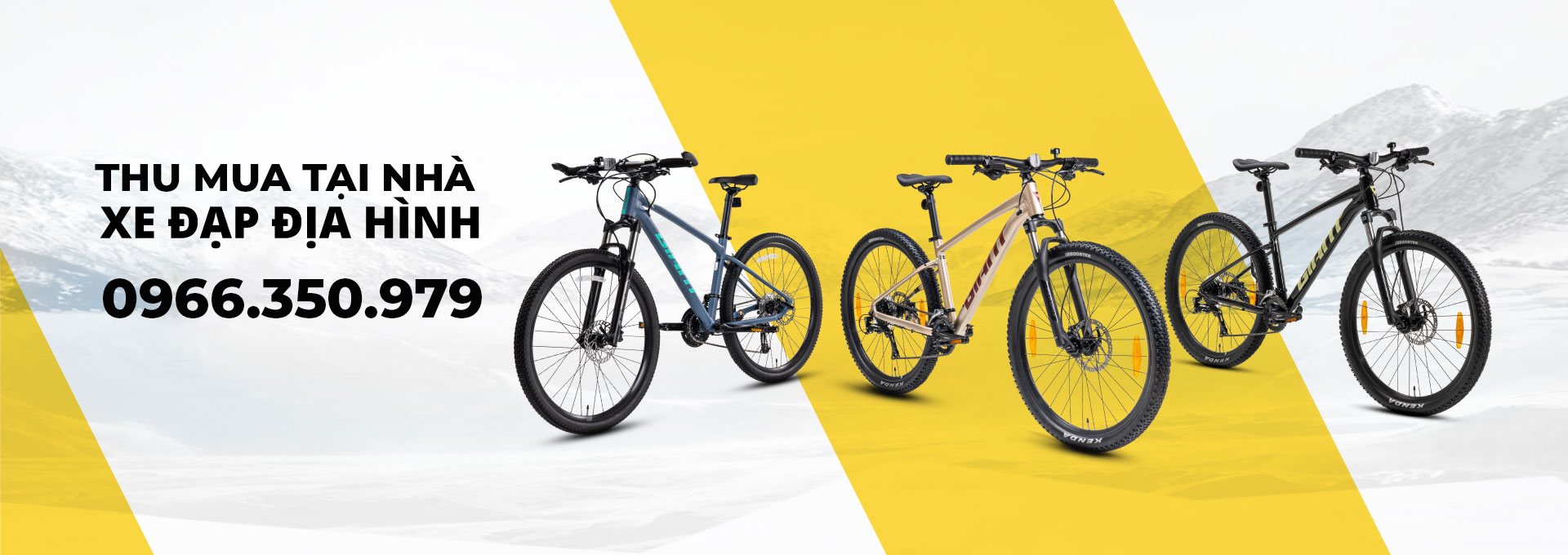 Thu mua xe đạp địa hình