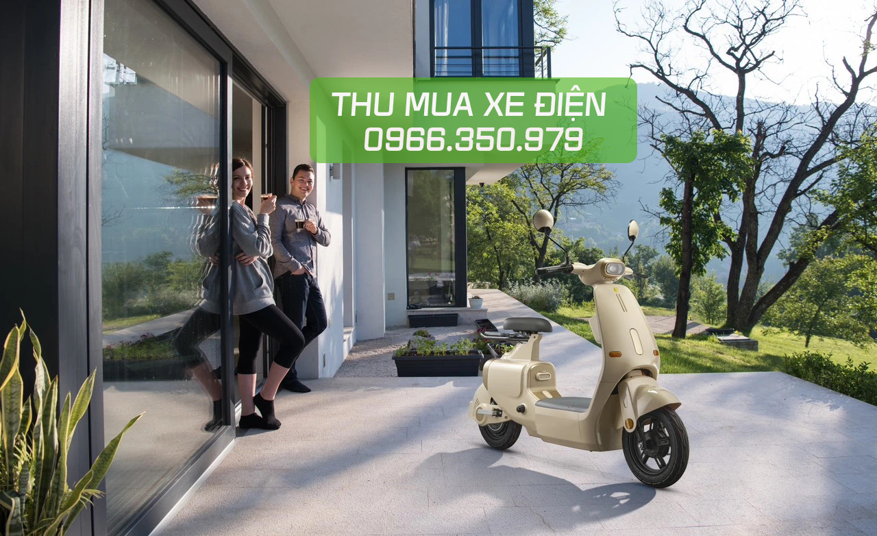 Thu mua xe điện Dylexe-VC-Kute-K1-Lihaze;-Dylexe-K1;-Dylexe-K2;-Type-1-type-2-Dylexe-Xmen-Dylexe-Vespa