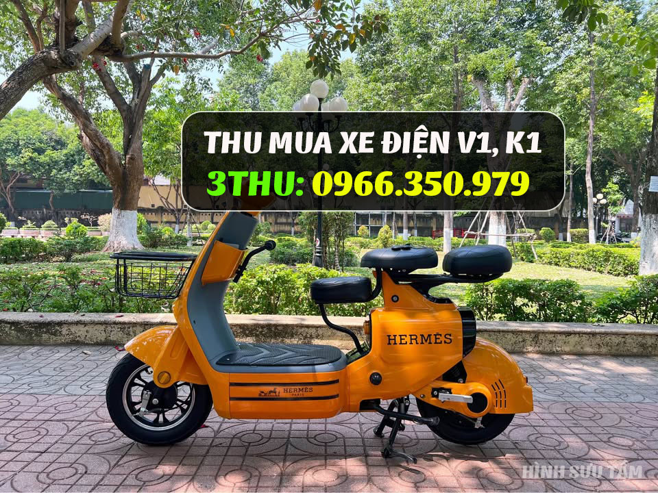 Thu mua xe điện V1, K1