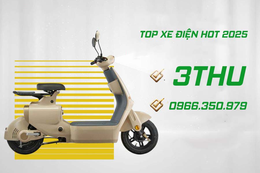 10 xe điện hot nhất 2025